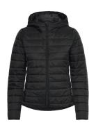 Jacket Fôret Jakke Black United Colors Of Benetton