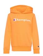 Hooded Sweatshirt Sport Sweat-shirts & Hoodies Hoodies Orange Champion