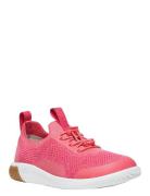 Ke Knx Knit Lace Lave Sneakers Pink KEEN