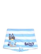 Swimsuit Badeshorts Blue Bluey