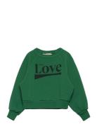 Shark Kid Sweatshirt Green Tops Sweat-shirts & Hoodies Sweat-shirts Gr...