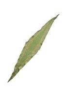 Alonsa Diamond Scarf Accessories Scarves Lightweight Scarves Green Bec...