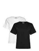 2-Pack Essence Standard T-Shirt Tops T-shirts & Tops Short-sleeved Mul...