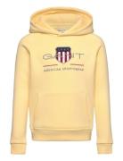 Archive Shield Raglan Hoodie Tops Sweat-shirts & Hoodies Hoodies Yello...