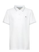 Contrast Tipping Ss Pique Rugger Tops T-shirts Polo Shirts Short-sleev...