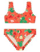 Nolina Bikini Orange Molo