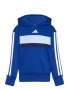 J 3S Tib Fl Hd Sport Sweat-shirts & Hoodies Hoodies Blue Adidas Sports...
