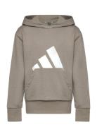 J Bl Ft Hd 280 Tops Sweat-shirts & Hoodies Hoodies Brown Adidas Sports...