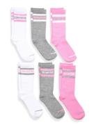 6W-6Pk Crew Sock Sokker Strømper Pink Converse