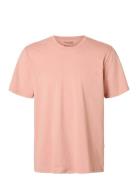 Slhaspen Ss O-Neck Tee Noos Tops T-shirts Short-sleeved Pink Selected ...