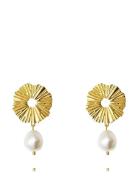 Vassia Pearl Earrings Gold Øredobber Smykker Gold Caroline Svedbom