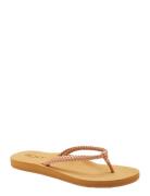 Costas Ii Shoes Summer Shoes Sandals Flip Flops Gold Roxy