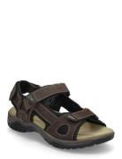 802569 Sandaler Brown Bugatti