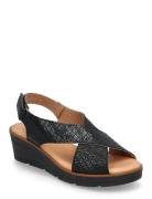 Ivy Sko Wedge Black Dasia