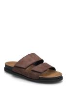 Kevin Sandaler Brown VAGABOND