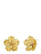 Jasmine Studs L Accessories Jewellery Earrings Studs Gold Edblad