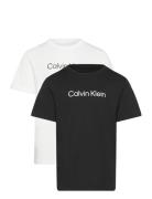 Institutional 2-Pack T-Shirt Tops T-shirts Short-sleeved Multi/pattern...