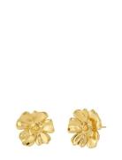 Floral Studs L Gold Accessories Jewellery Earrings Studs Gold Edblad