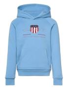 Archive Shield Raglan Hoodie Tops Sweat-shirts & Hoodies Hoodies Blue ...
