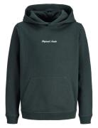 Jornorrebro Emb Sweat Hood Noos Jnr Tops Sweat-shirts & Hoodies Hoodie...