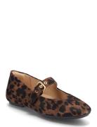 Delicato Leopard Suede Mary Janes Sko Flate Brown FitFlop