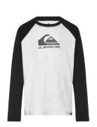 Ev Omni Logo Raglan Ls Yth Tops T-shirts Long-sleeved T-shirts Grey Qu...
