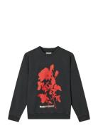 Compact Cotton Atli Sweatshirt Tops Sweat-shirts & Hoodies Sweat-shirt...