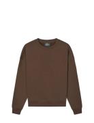 Standard Luka Crew Sweat Tops Sweat-shirts & Hoodies Sweat-shirts Brow...