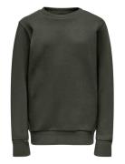 Osjceres Crew Neck Swt Noos Tops Sweat-shirts & Hoodies Sweat-shirts B...