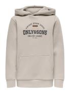 Osjceres Reg Vintage Print Hood Swt Noos Tops Sweat-shirts & Hoodies H...