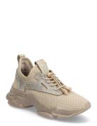 Match-Re Lave Sneakers Beige Steve Madden