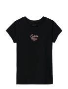 Script Logo Graphic Ss T-Shirt Tops T-shirts Short-sleeved Black Calvi...