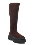 Chipp Høye Støvletter Brown Steve Madden