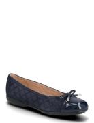 D Annytah B Sko Flate Navy GEOX