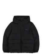 Puffer Jacket Fôret Jakke Black BOSS