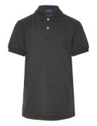 Slim Fit Cotton Mesh Polo Shirt Tops T-shirts Polo Shirts Short-sleeve...