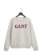 Graphic C-Neck Sweat Tops Sweat-shirts & Hoodies Sweat-shirts Grey GAN...