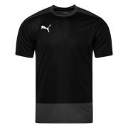 PUMA Trenings T-Skjorte teamGOAL 23 - Sort/Grå