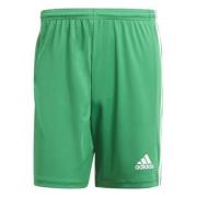 adidas Shorts Squadra 21 - Grønn/Hvit