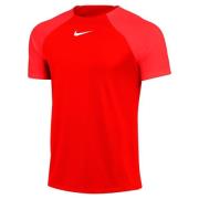 Nike Trenings T-Skjorte Dri-FIT Academy Pro - Rød/Rød/Hvit
