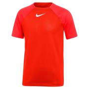 Nike Trenings T-Skjorte Dri-FIT Academy Pro - Rød/Rød/Hvit Barn