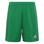 adidas Shorts Entrada 22 - Grønn/Hvit Barn