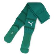 teamFINAL Socks Sport Green-PUMA White-Power Green