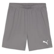 PUMA teamGOAL Shorts - Grå