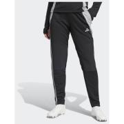 Adidas Tiro 24 Winterized Pants