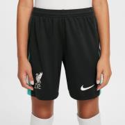 Liverpool Borteshorts 2024/25 Barn