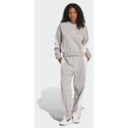 Adidas Laziday Track Suit