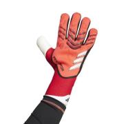 adidas Keeperhanske Predator Pro Pure Victory - Lucid Red/Sort/Pure Ru...