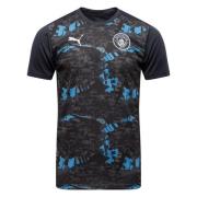 Manchester City Trenings T-Skjorte Pre Match - Strong Gray/Kul Lysegrå