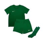 Nike Park 20 Dry Settet - Grønn/Hvit